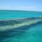 Découvrez l'épave qui affleure la surface dans une mer cristalline tout à coté de la barrière de corail.